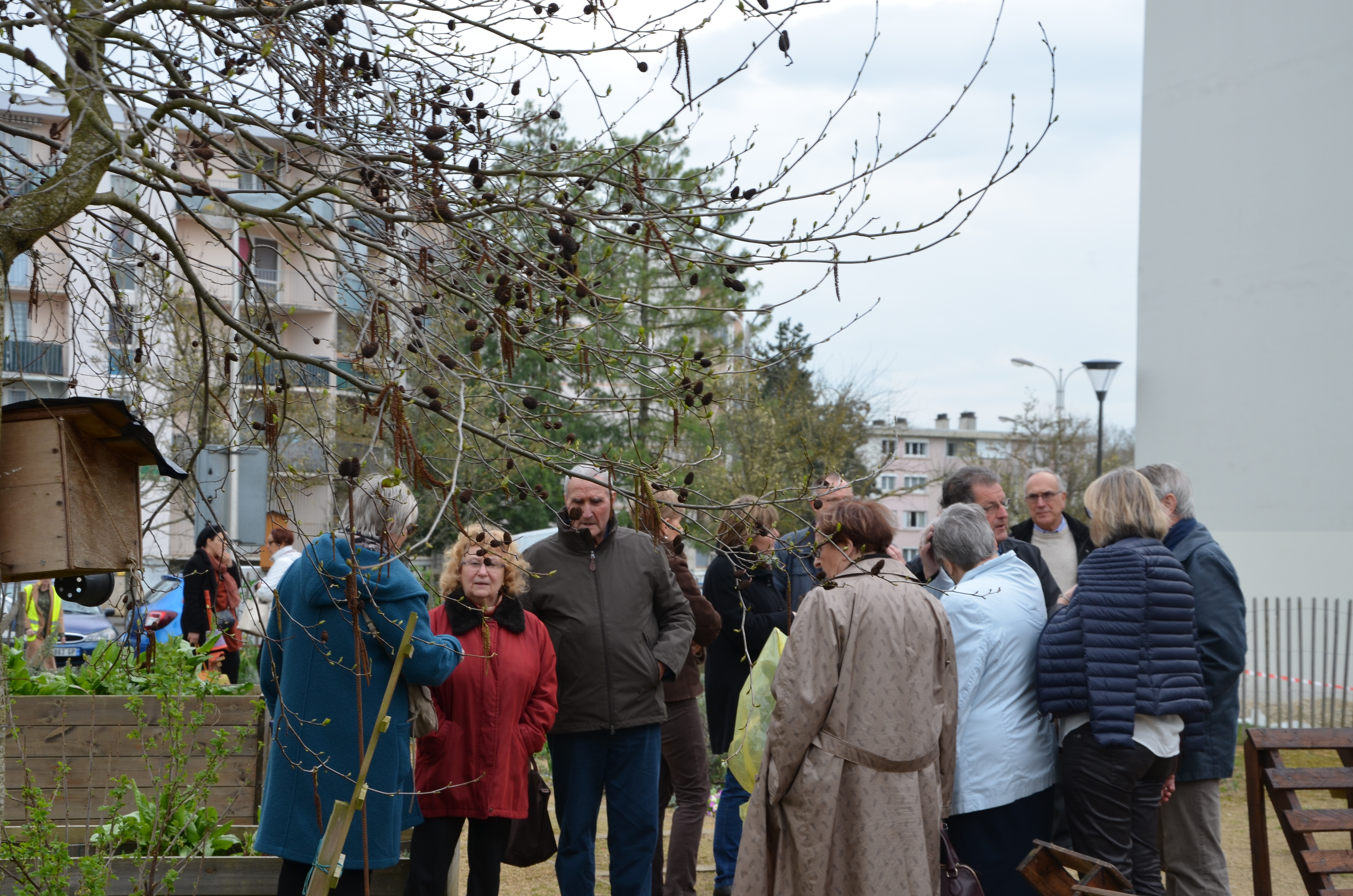 visite du jardin partagé des Comtesses