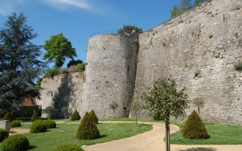 Les filets dans les arbres au Château Médiéval de Château-Thierry  (Château-Thierry)